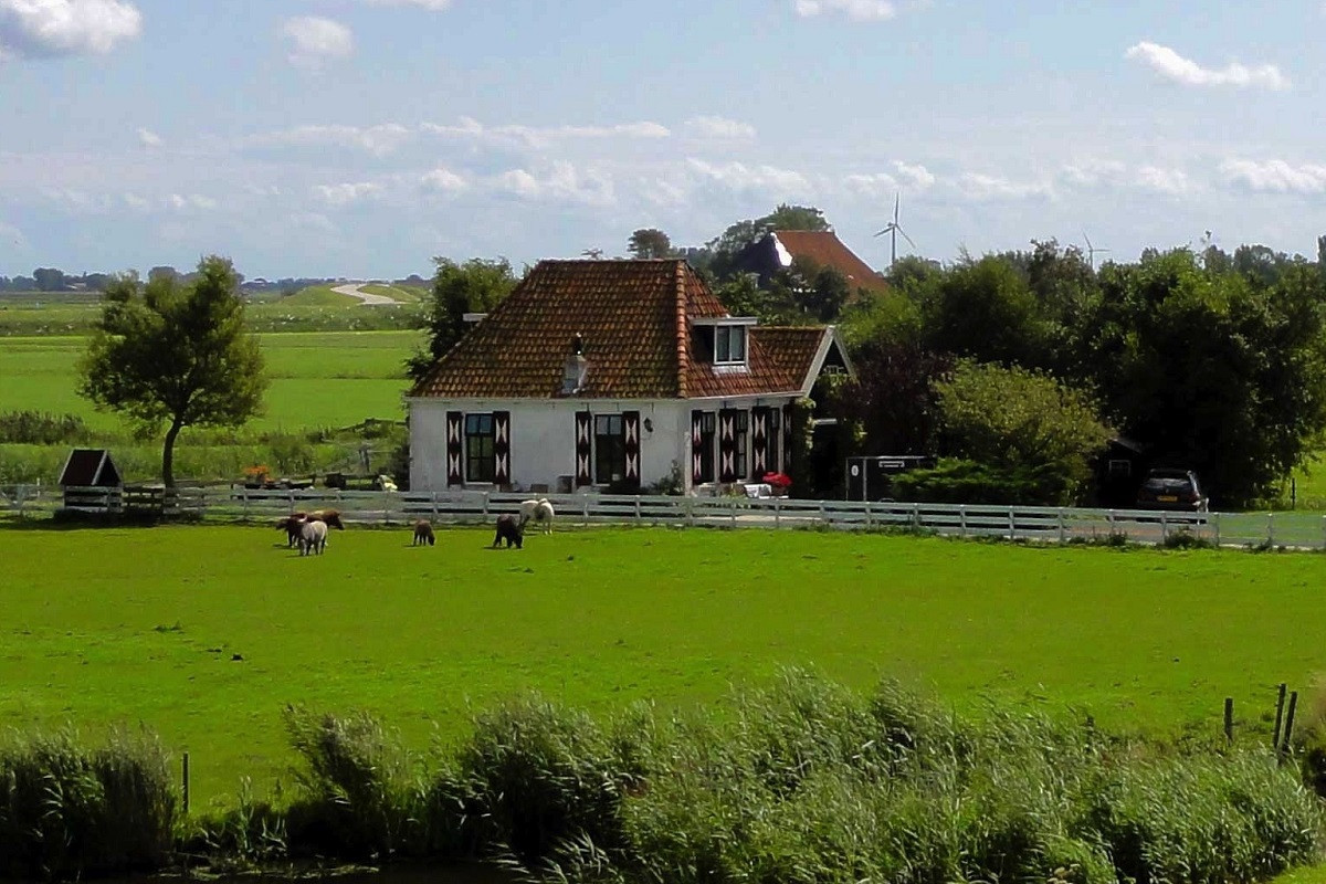 phvczxyn-toerekening-koopsom-aan-bedrijfsgedeelte phvczxyn-toerekening-koopsom-aan-bedrijfsgedeelte
